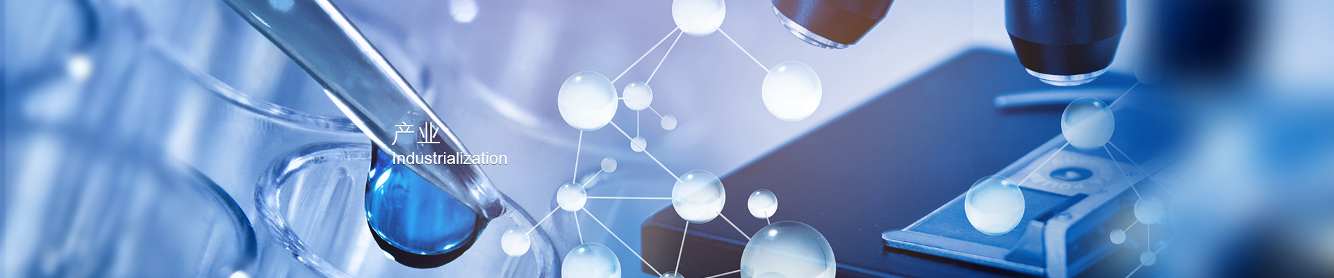 rb88���а�_�����������