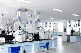 rb88随行版_官网官网入口