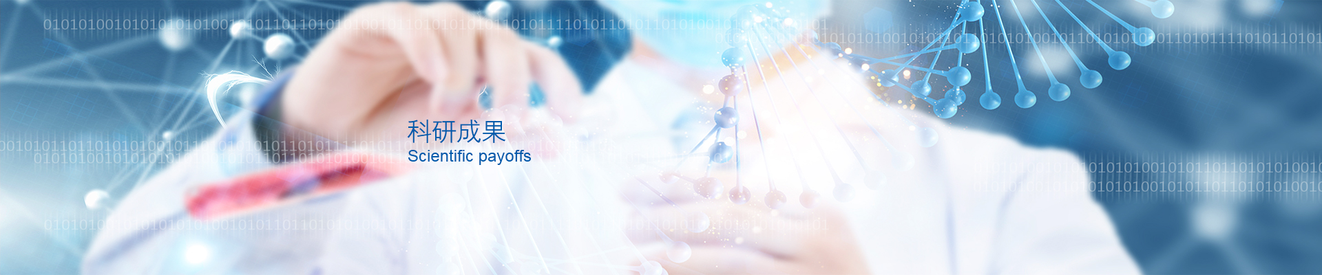 rb88���а�_�����������